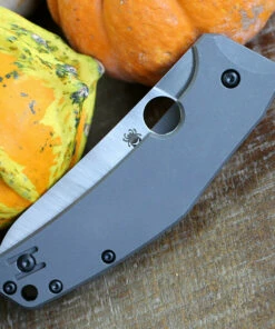 Spyderco Knives Spyderco C211TIP Spydiechef, 3.5" LC200 N Tool Steel Plain Blade, Titanium Handles 6 Spyderco Knives Spyderco C211TIP Spydiechef, 3.5" LC200 N Tool Steel Plain Blade, Titanium Handles -Buck Knives Sales C211TIP.3 41157.1574265868