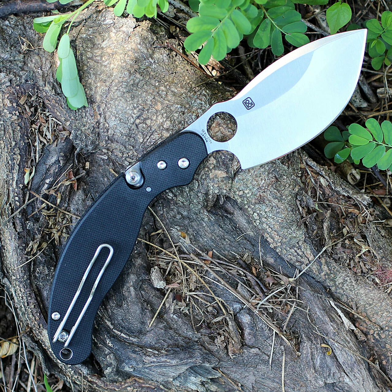 Spyderco Knives Spyderco C231GP Parata, 3.46" VG-10 Plain Blade, Black G-10 Handle 2 Spyderco Knives Spyderco C231GP Parata, 3.46" VG-10 Plain Blade, Black G-10 Handle - Image 2