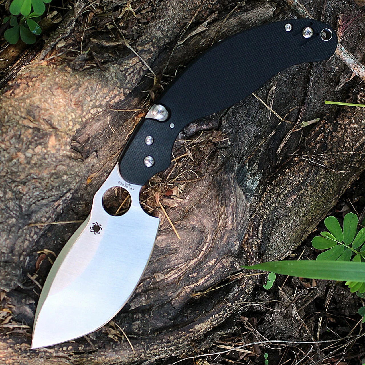 Spyderco Knives Spyderco C231GP Parata, 3.46" VG-10 Plain Blade, Black G-10 Handle 1 Spyderco Knives Spyderco C231GP Parata, 3.46" VG-10 Plain Blade, Black G-10 Handle