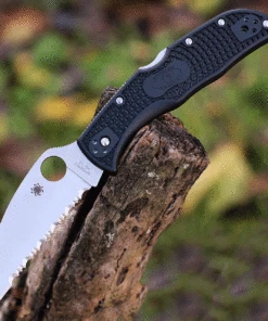 Spyderco Knives Spyderco Endela Wharncliffe - Blk FRN (3.4" VG-10 Serr.) C243FSWCBK