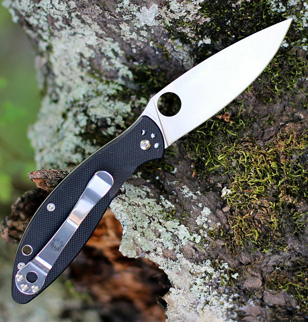 Spyderco Knives Spyderco Astute - Black G10 (3" 8Cr13MoV Satin) C252GP 2 Spyderco Knives Spyderco Astute - Black G10 (3" 8Cr13MoV Satin) C252GP - Image 2