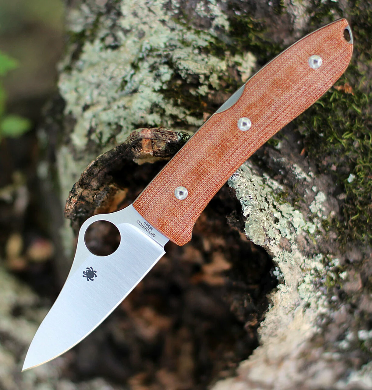 Spyderco Knives Spyderco SpyOpera - Brown Canvas Micarta (2.9" M390 Satin) C255CMP 1 Spyderco Knives Spyderco SpyOpera - Brown Canvas Micarta (2.9" M390 Satin) C255CMP