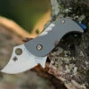 Spyderco Knives Spyderco Pochi - Ti Bead Blast (1.6" CPM S45VN Satin) C256TIP