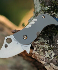 Spyderco Knives Spyderco Pochi - Ti Bead Blast (1.6" CPM S45VN Satin) C256TIP