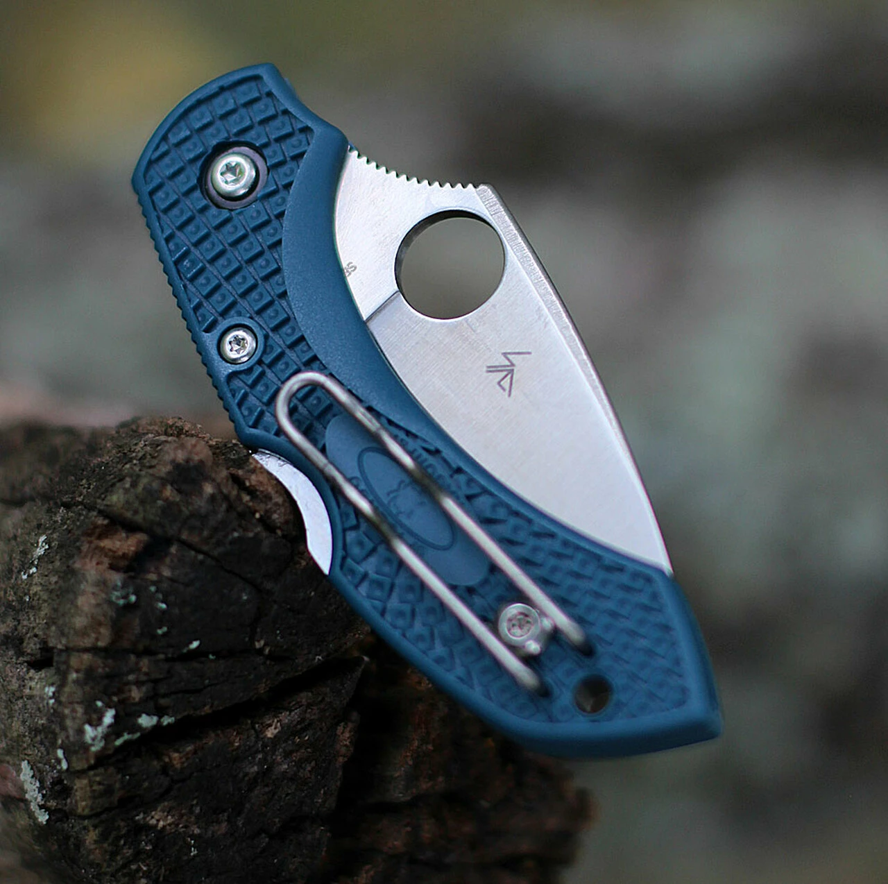 Spyderco Knives Spyderco Dragonfly FRN K390 C28F2K390, 2.29" K390 Steel Plain Blade, Blue FRN Handle 3 Spyderco Knives Spyderco Dragonfly FRN K390 C28F2K390, 2.29" K390 Steel Plain Blade, Blue FRN Handle - Image 3