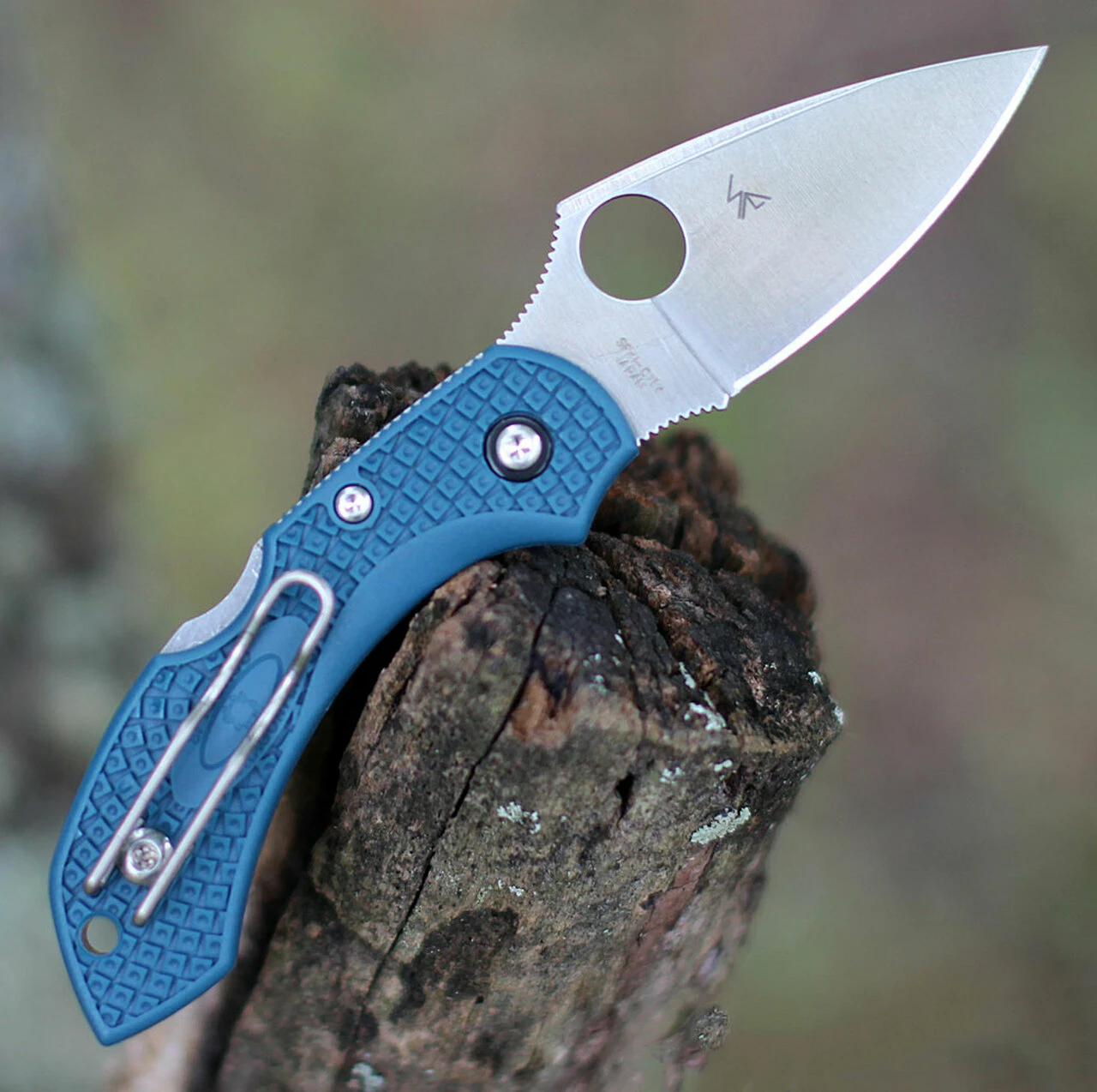 Spyderco Knives Spyderco Dragonfly FRN K390 C28F2K390, 2.29" K390 Steel Plain Blade, Blue FRN Handle 2 Spyderco Knives Spyderco Dragonfly FRN K390 C28F2K390, 2.29" K390 Steel Plain Blade, Blue FRN Handle - Image 2