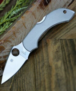 Spyderco Knives Spyderco C28P Dragonfly, 2.313" VG-10 Plain Blade, Stainless Handle