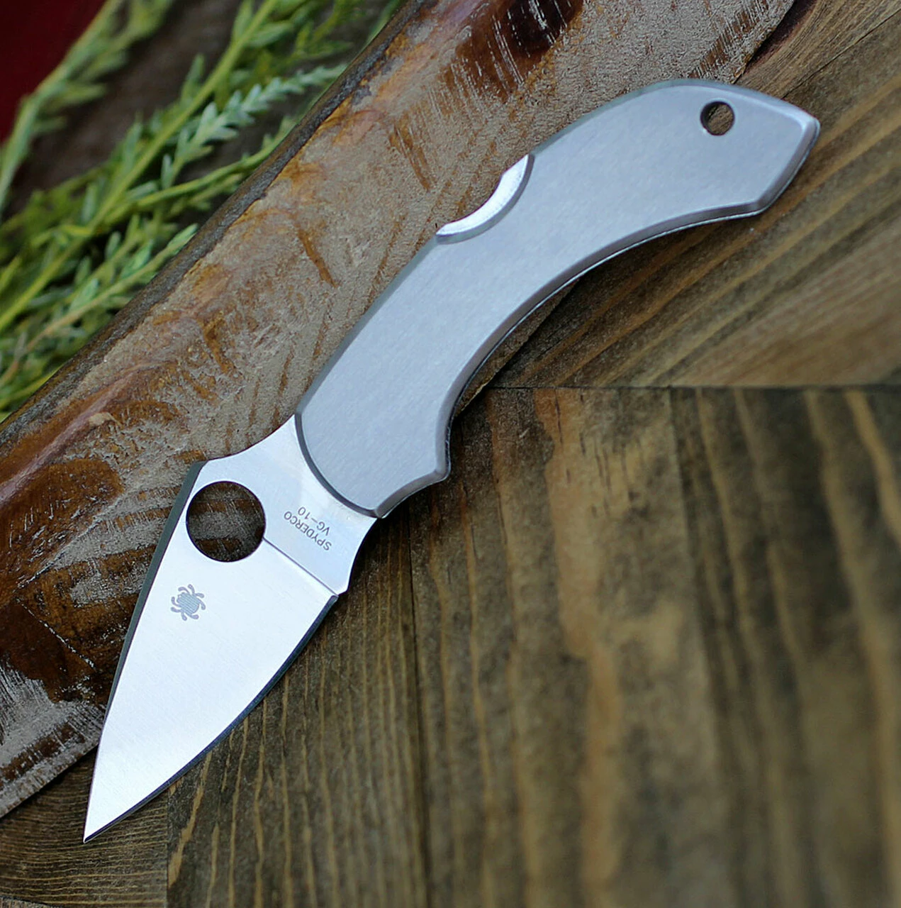 Spyderco Knives Spyderco C28P Dragonfly, 2.313" VG-10 Plain Blade, Stainless Handle 1 Spyderco Knives Spyderco C28P Dragonfly, 2.313" VG-10 Plain Blade, Stainless Handle