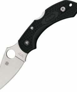 Spyderco Knives Spyderco C28GPRE2 Dragonfly 2, 2.25" ZDP-189 Plain Blade, British Racing Green FRN Handle