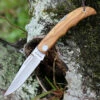 Castillo Knives Castillo Tagus - Olivewood (3.6" 14C28N Satin) C5OLW