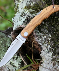 Castillo Knives Castillo Tagus - Olivewood (3.6" 14C28N Satin) C5OLW