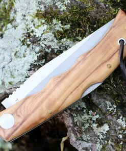 Castillo Knives Castillo Tagus - Olivewood (3.6" 14C28N Satin) C5OLW -Buck Knives Sales C5OLW.2 50793.1639078226