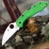 Spyderco Knives Spyderco Salt 2 C88FPWCGR2, 3.00" Satin Warncliffe LC200N Plain Blade, Green FRN Handle