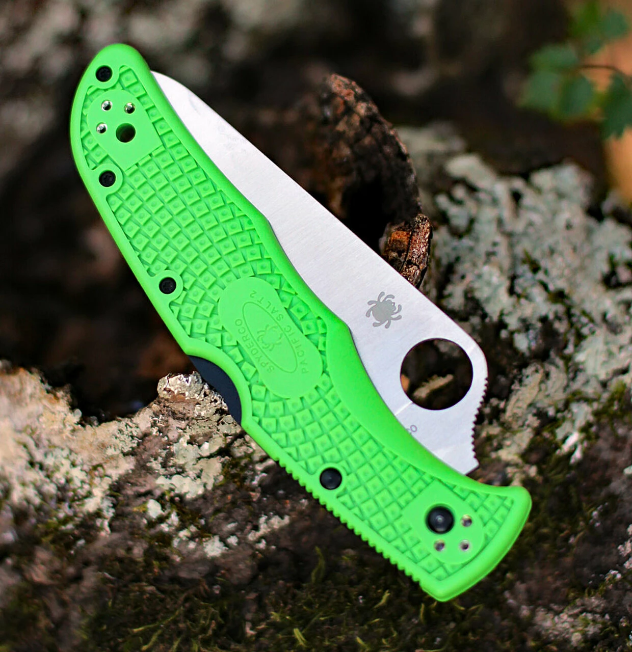 Spyderco Knives Spyderco Pacific Salt 2 C91FPGR2, 3.78" LC200N Satin Plain Blade, Green FRN Handle 4 Spyderco Knives Spyderco Pacific Salt 2 C91FPGR2, 3.78" LC200N Satin Plain Blade, Green FRN Handle - Image 4