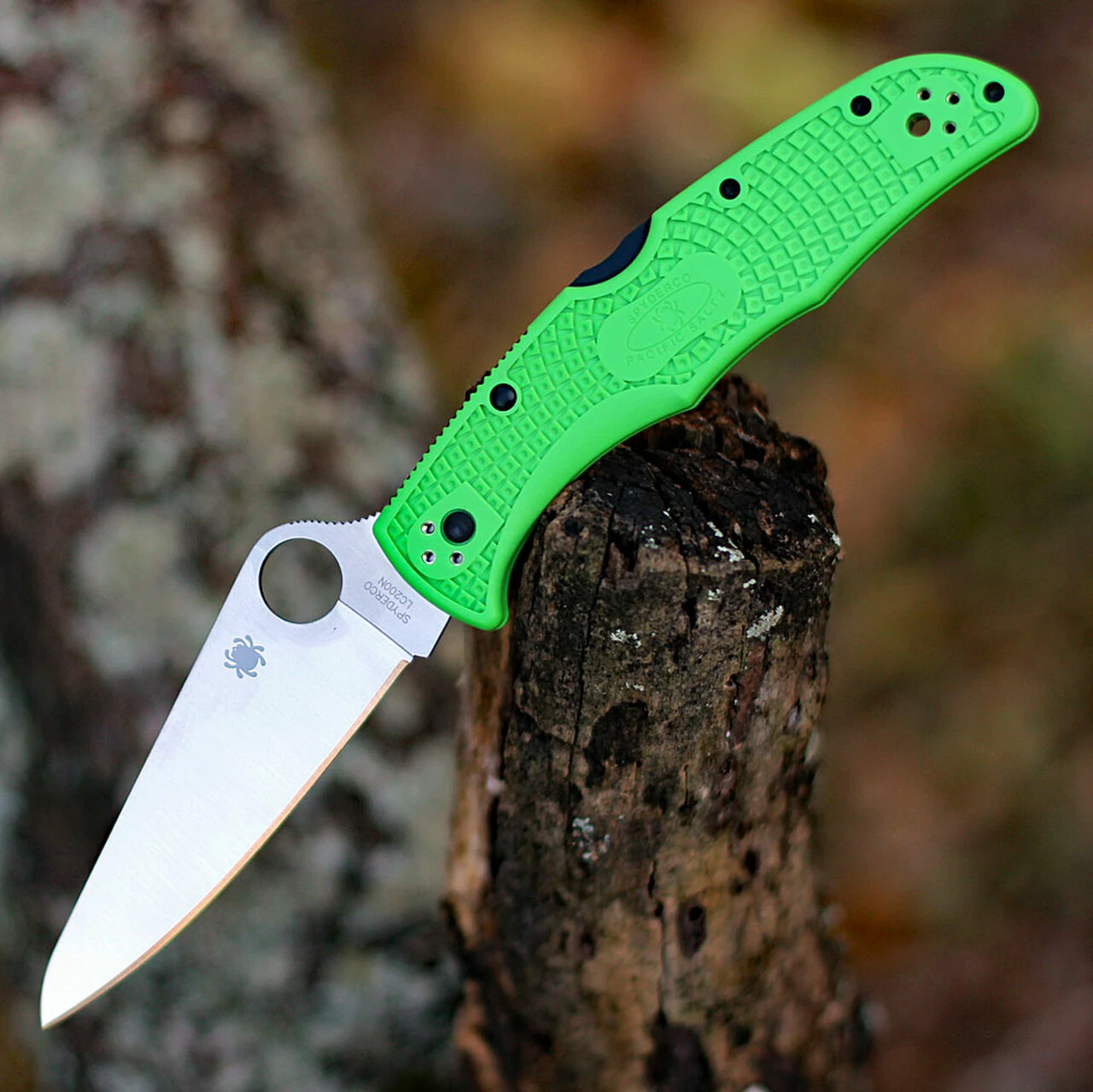 Spyderco Knives Spyderco Pacific Salt 2 C91FPGR2, 3.78" LC200N Satin Plain Blade, Green FRN Handle 1 Spyderco Knives Spyderco Pacific Salt 2 C91FPGR2, 3.78" LC200N Satin Plain Blade, Green FRN Handle