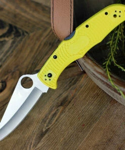 Spyderco Knives Spyderco Pacific Salt 2 Yellow FRN (3.8" H-1 Serr) C91PYL2