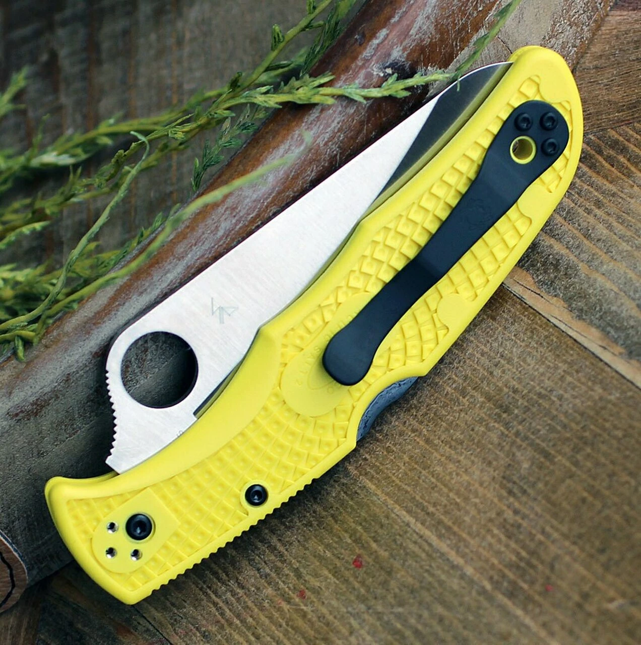 Spyderco Knives Spyderco Pacific Salt 2 C91SYL2, 3.78" H-1 Steel Satin Serrated Blade, Yellow FRN Handle 4 Spyderco Knives Spyderco Pacific Salt 2 C91SYL2, 3.78" H-1 Steel Satin Serrated Blade, Yellow FRN Handle - Image 4