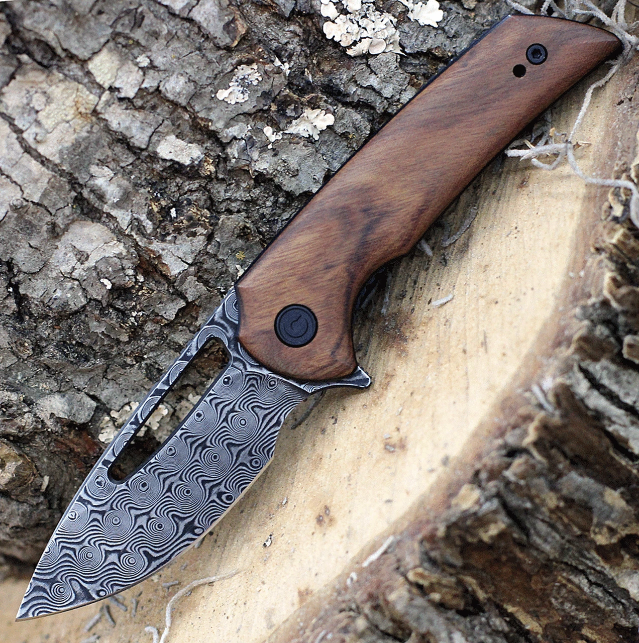 CIVIVI Knives CIVIVI Odium C2010DS-1, 2.65" Damascus Drop Point Blade, Cuibourtia Wood Handles 1 CIVIVI Knives CIVIVI Odium C2010DS-1, 2.65" Damascus Drop Point Blade, Cuibourtia Wood Handles