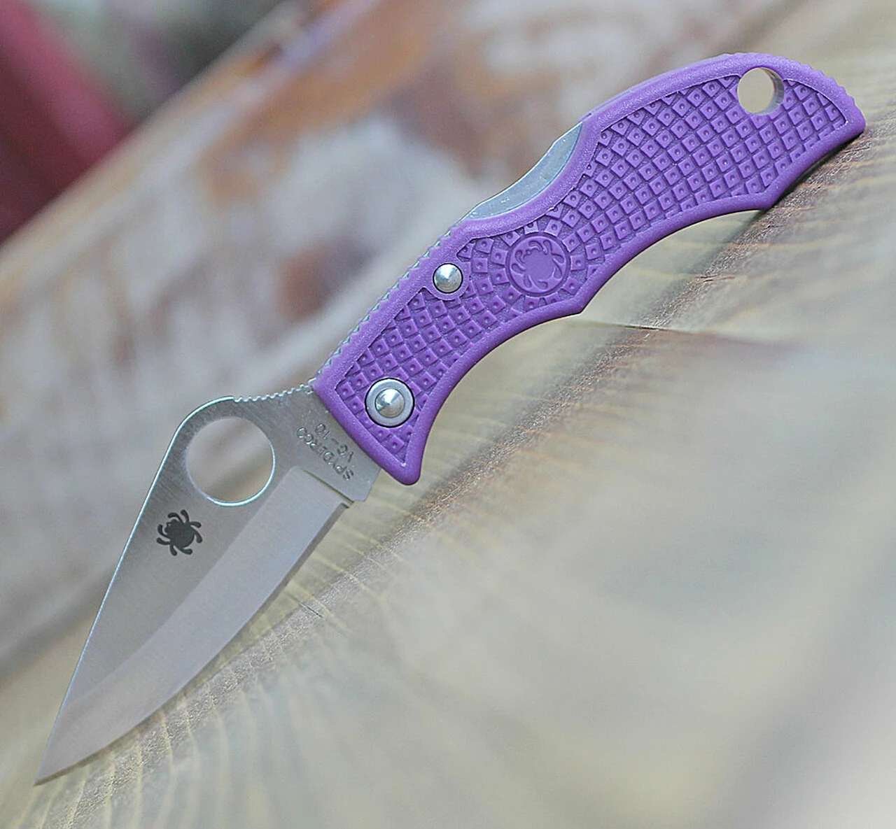 Spyderco Knives Spyderco Ladybug Lightweight, CLPRP3, Purple FRN, Plain Edge 5 Spyderco Knives Spyderco Ladybug Lightweight, CLPRP3, Purple FRN, Plain Edge - Image 5