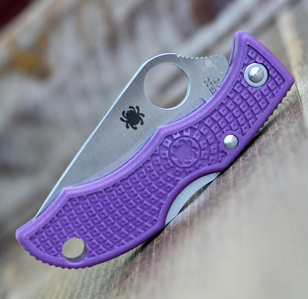 Spyderco Knives Spyderco Ladybug Lightweight, CLPRP3, Purple FRN, Plain Edge 3 Spyderco Knives Spyderco Ladybug Lightweight, CLPRP3, Purple FRN, Plain Edge - Image 3