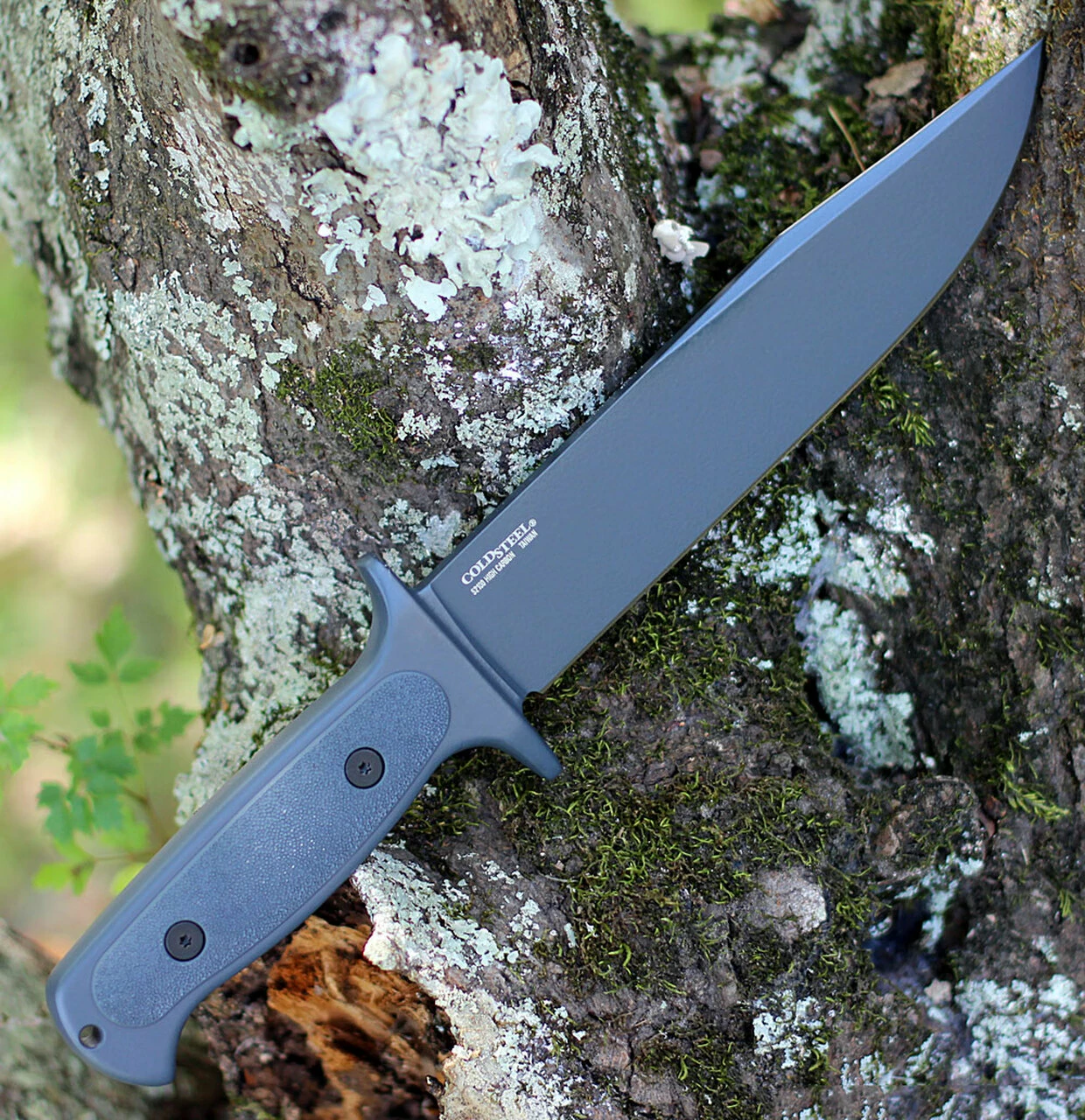 Cold Steel Drop Forged Survivalist 36MH, 8" 52100 High Carbon 2 Cold Steel Drop Forged Survivalist 36MH, 8" 52100 High Carbon - Image 2