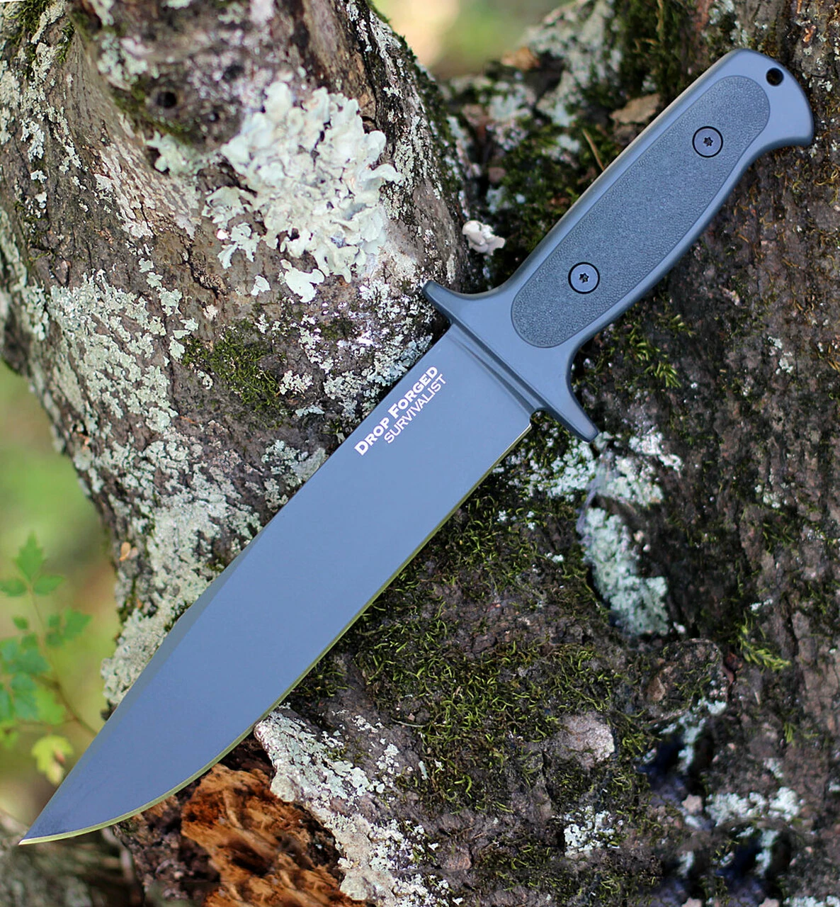 Cold Steel Drop Forged Survivalist 36MH, 8" 52100 High Carbon 1 Cold Steel Drop Forged Survivalist 36MH, 8" 52100 High Carbon