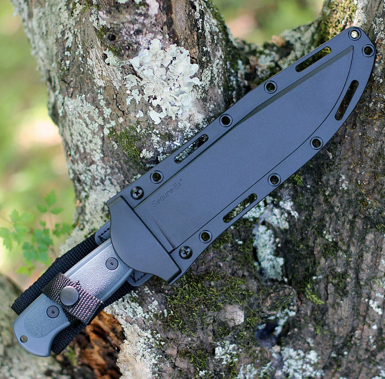 Cold Steel Drop Forged Survivalist 36MH, 8" 52100 High Carbon 3 Cold Steel Drop Forged Survivalist 36MH, 8" 52100 High Carbon - Image 3