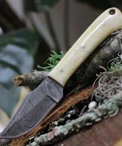 Damascus Blade Knife Damascus Short Skinner White Bone, 3" Damacus Blade, White Bone Handle, Leather sheath