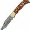 Damascus Blade Knife Damascus Blades Lockback - Twisted Wood (3" Damascus) DM-1285