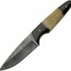 Damascus Blade Knife Damascus Blades - Buffalo/Camel Bone (4.5" Damascus) 1293BO