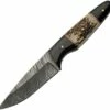 Damascus Blade Knife Damascus Blades - Buffalo/Stag Bone (4.5" Damascus) 1293SG