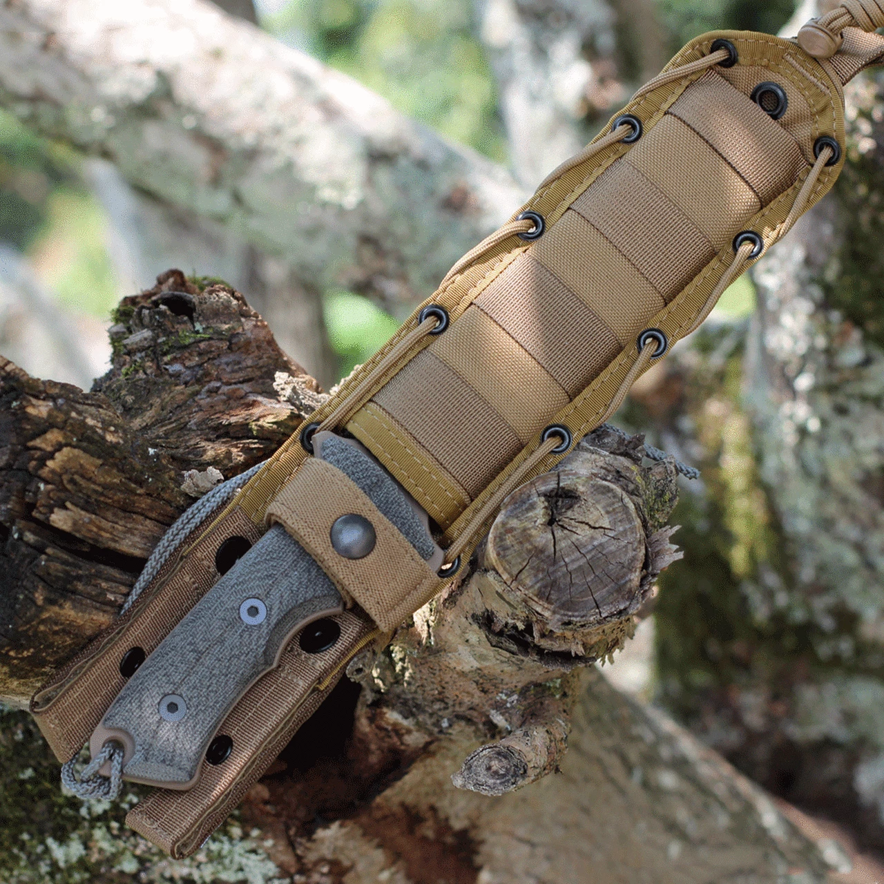 Chris Reeve Green Beret 7" Serrated with Flat Dark Earth PVD (GB7-1003) 3 Chris Reeve Green Beret 7" Serrated with Flat Dark Earth PVD (GB7-1003) - Image 3