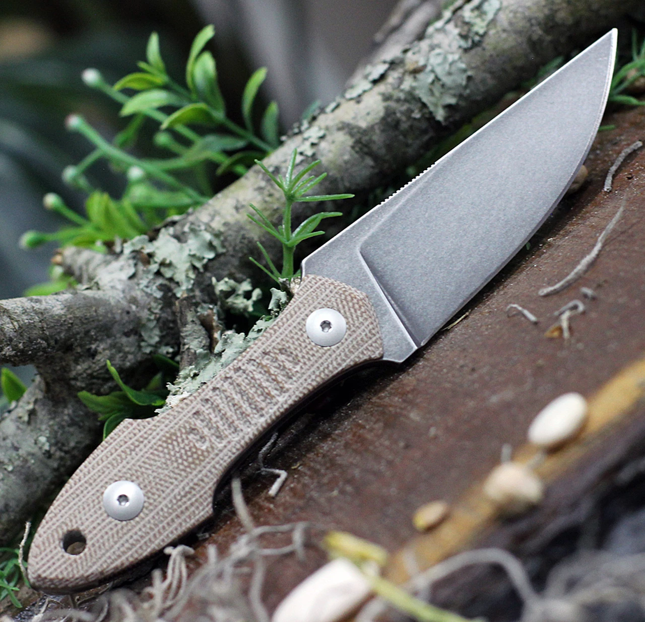 GiantMouse GMF3-P Fixed Blade GMF3P-NAT-PVD, 3.25" N690 PVD Plain Blade, Natural Canvas Micarta Handle 2 GiantMouse GMF3-P Fixed Blade GMF3P-NAT-PVD, 3.25" N690 PVD Plain Blade, Natural Canvas Micarta Handle - Image 2