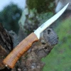 Helle Steinbit, Sandvik 12C27 Stainless Steel, Curly Birch Handle