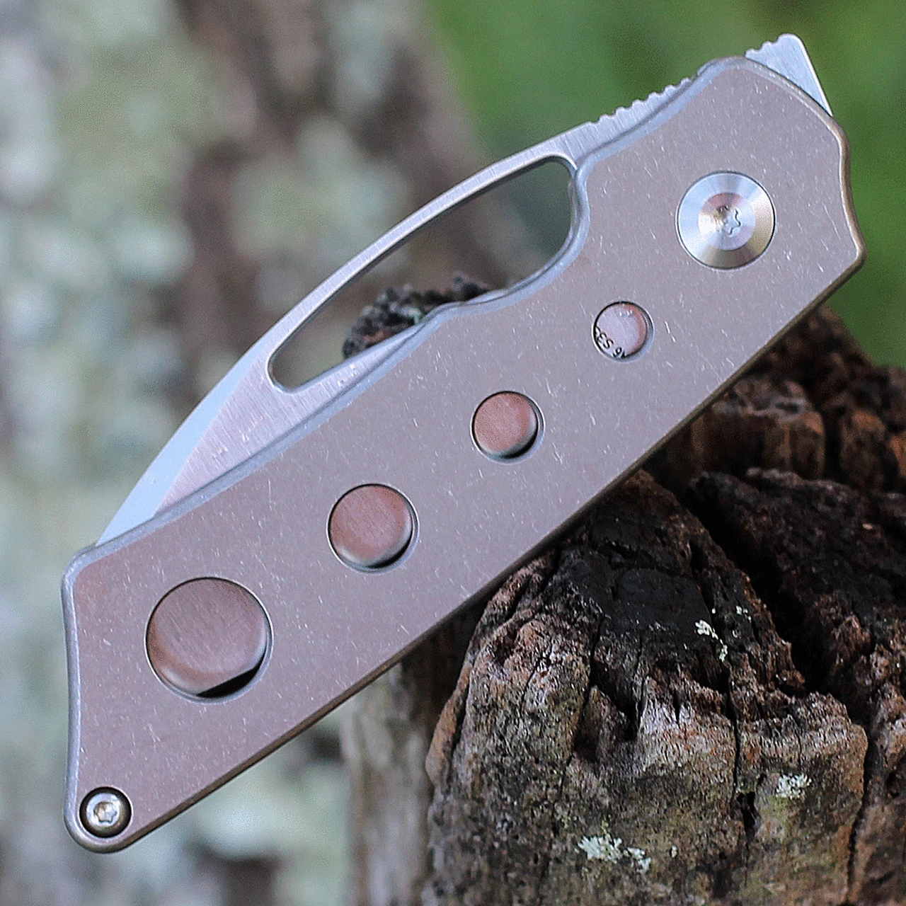 Kansept Knives Kansept Goblin Holes - Bronzed Ti (2.1" CPM-S35VN SW) K2016A6 4 Kansept Knives Kansept Goblin Holes - Bronzed Ti (2.1" CPM-S35VN SW) K2016A6 - Image 4