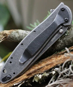 Kershaw Knives Kershaw Random Leek - SW Blk (3" 14C28N SW Blk Reverse Tanto) 1660RBW -Buck Knives Sales KS1660RBW.3 37114.1617912498