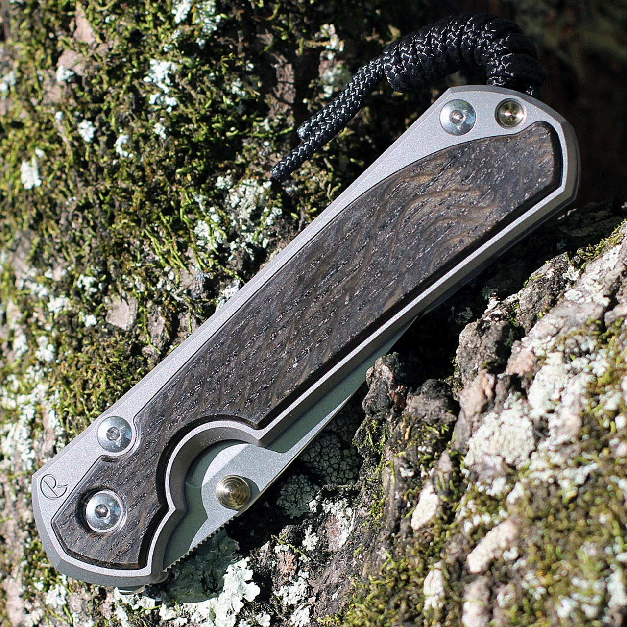 Chris Reeve Large Sebenza 31 Bog Oak Inlay, 3.61" CPM S45VN Stonewashed Drop Point Blade, Matte-Blasted Handle (L31-1100) 4 Chris Reeve Large Sebenza 31 Bog Oak Inlay, 3.61" CPM S45VN Stonewashed Drop Point Blade, Matte-Blasted Handle (L31-1100) - Image 4