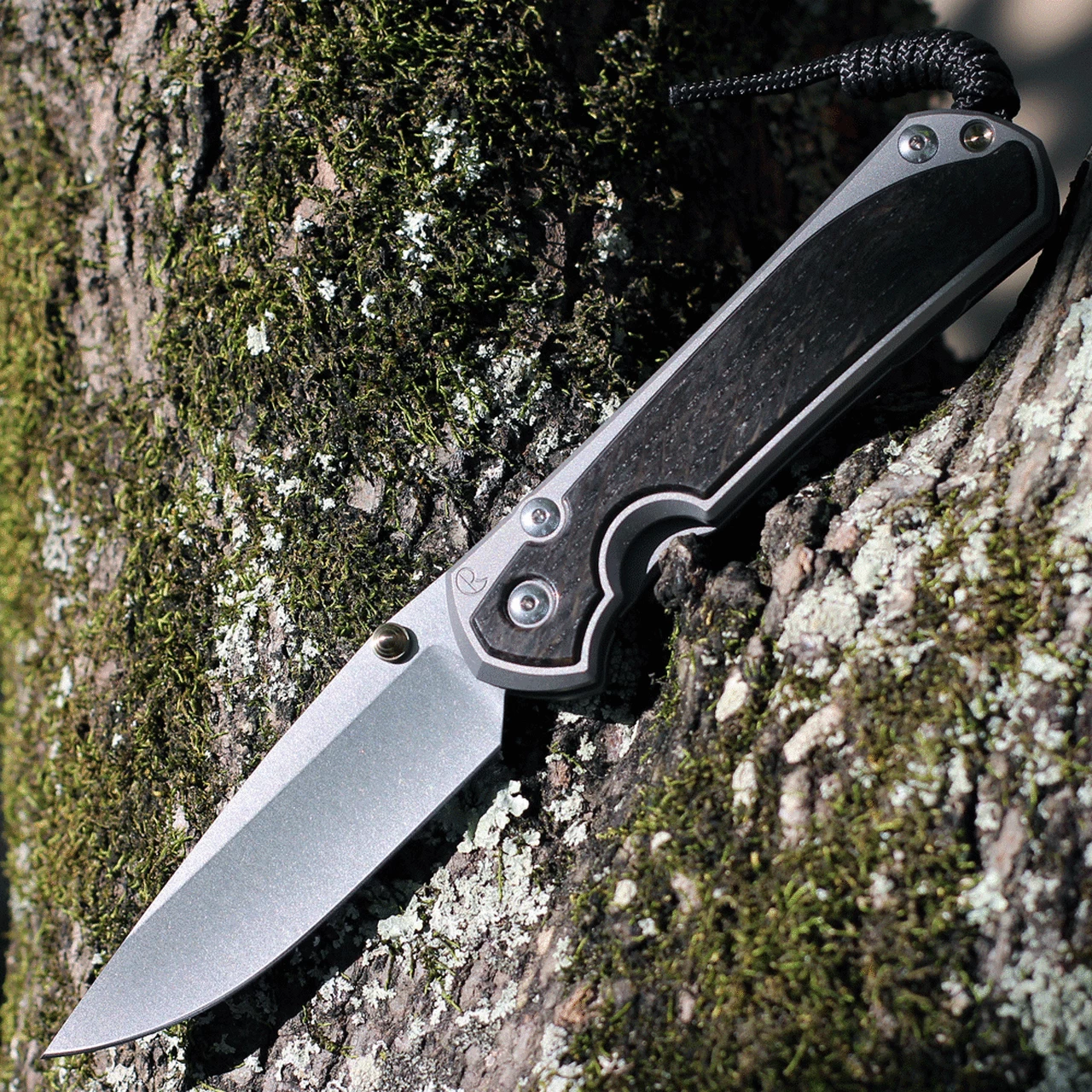 Chris Reeve Large Sebenza 31 Bog Oak Inlay, 3.61" CPM S45VN Stonewashed Drop Point Blade, Matte-Blasted Handle (L31-1100) 1 Chris Reeve Large Sebenza 31 Bog Oak Inlay, 3.61" CPM S45VN Stonewashed Drop Point Blade, Matte-Blasted Handle (L31-1100)