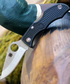 Spyderco Knives Spyderco Ladybug 3 Black FRN LBKP3, 1.938" VG-10 Plain Blade