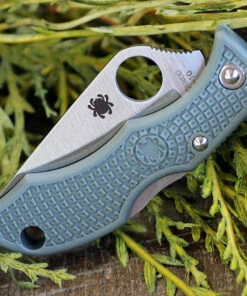 Spyderco Knives Spyderco Ladybug 3 Foliage Green FRN LFGP3, 1.938" VG-10 Plain Blade -Buck Knives Sales LFGP3.2 19846.1577827422