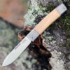 LionSteel Bestman BM2UL Slip Joint, 2.80" M390 Steel Drop Point Blade, Olive Wood Handle