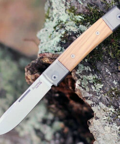 LionSteel Bestman BM2UL Slip Joint, 2.80" M390 Steel Drop Point Blade, Olive Wood Handle