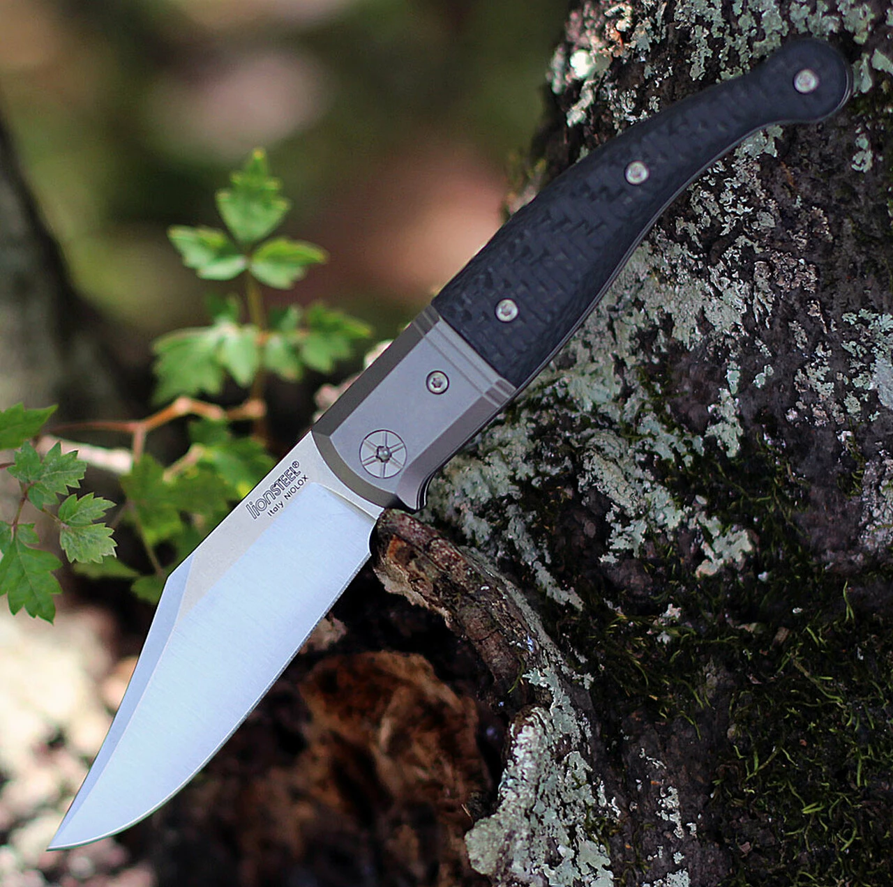 LionSteel Gitano TGT01CF Slip Joint, Carbon Fiber Folding Knife 4 LionSteel Gitano TGT01CF Slip Joint, Carbon Fiber Folding Knife - Image 4