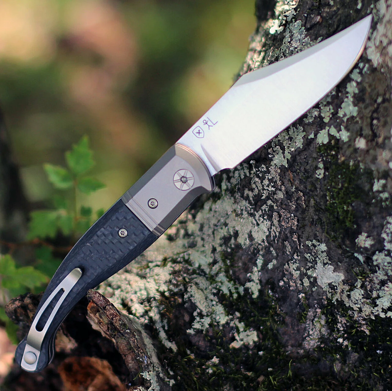 LionSteel Gitano TGT01CF Slip Joint, Carbon Fiber Folding Knife 2 LionSteel Gitano TGT01CF Slip Joint, Carbon Fiber Folding Knife - Image 2