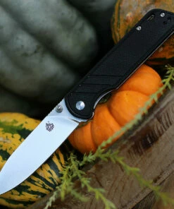 QSP Knife Parrot Linerlock QS102A, 3.25" D2 Satin Blade, Black G10 Handle
