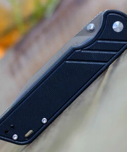 QSP Knife Parrot Linerlock QS102A, 3.25" D2 Satin Blade, Black G10 Handle -Buck Knives Sales QS102 Black.3 59333.1603806344