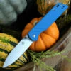 QSP Knife Parrot Linerlock QS102D, 3.25" D2 Satin Blade, Blue G10 Handle