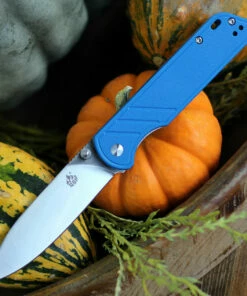 QSP Knife Parrot Linerlock QS102D, 3.25" D2 Satin Blade, Blue G10 Handle