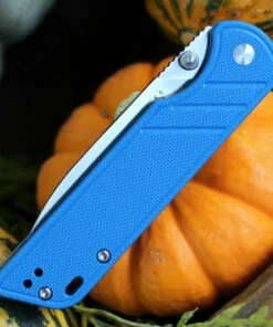 QSP Knife Parrot Linerlock QS102D, 3.25" D2 Satin Blade, Blue G10 Handle -Buck Knives Sales QS102 Blue.2 51208.1603807280