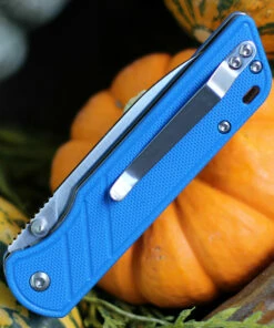 QSP Knife Parrot Linerlock QS102D, 3.25" D2 Satin Blade, Blue G10 Handle -Buck Knives Sales QS102 Blue.3 42347.1603807280